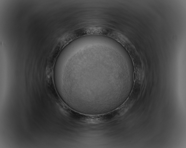 X0000087740701200705071053
