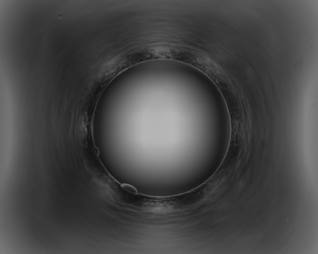 X0000087740702200705071053