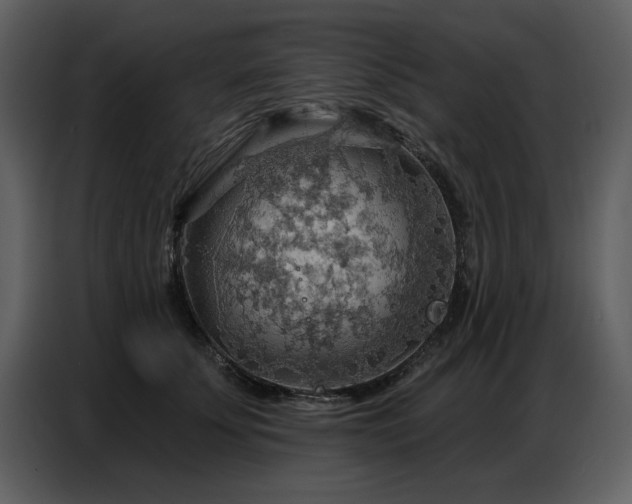 X0000087740707200705071053