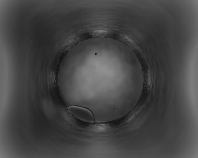X0000087740711200705071053