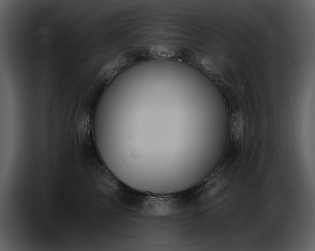 X0000087740713200705071052