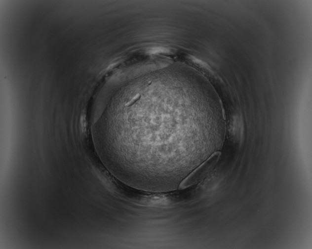 X0000087740715200705071052