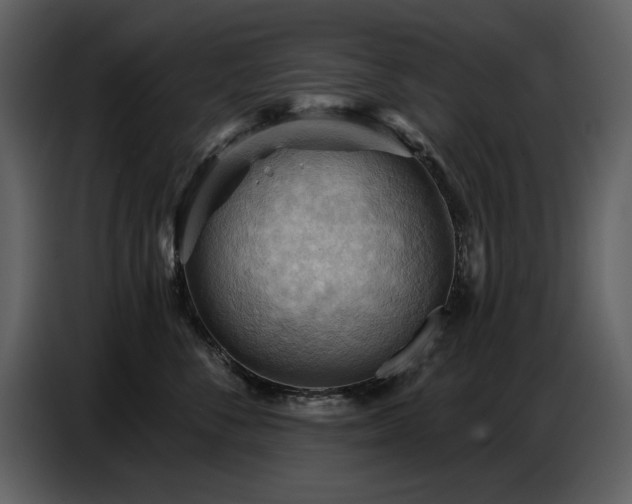 X0000087740716200705071052