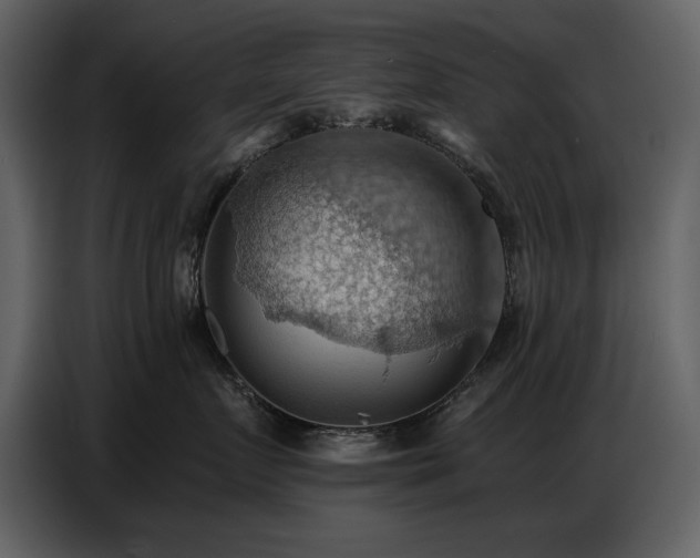 X0000087740719200705071052