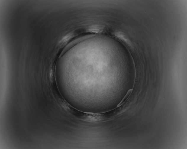 X0000087740720200705071052