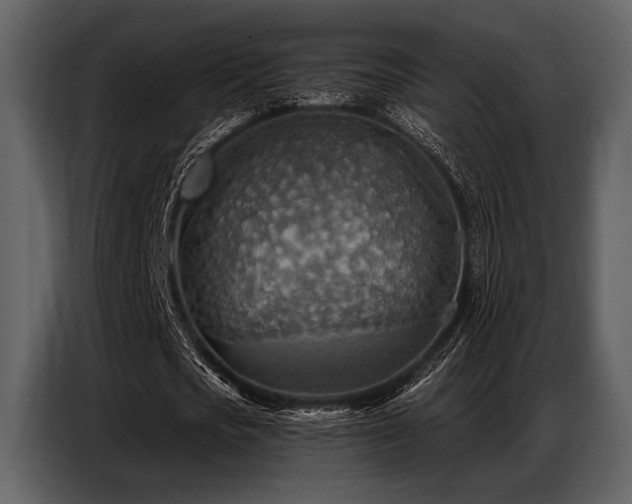 X0000087740721200705071052
