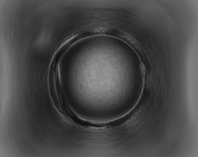 X0000087740722200705071052