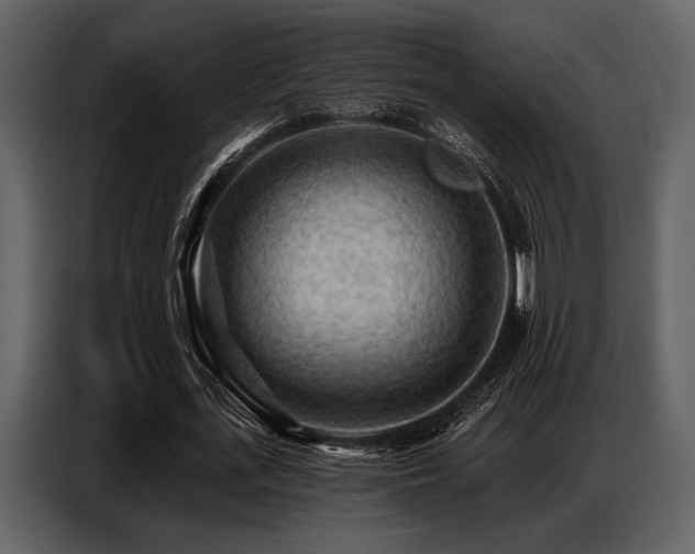 X0000087740723200705071052