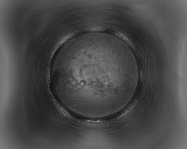 X0000087740725200705071052