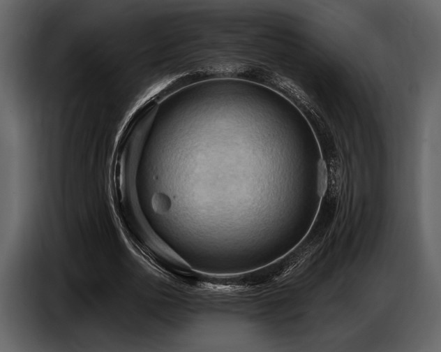 X0000087740726200705071052