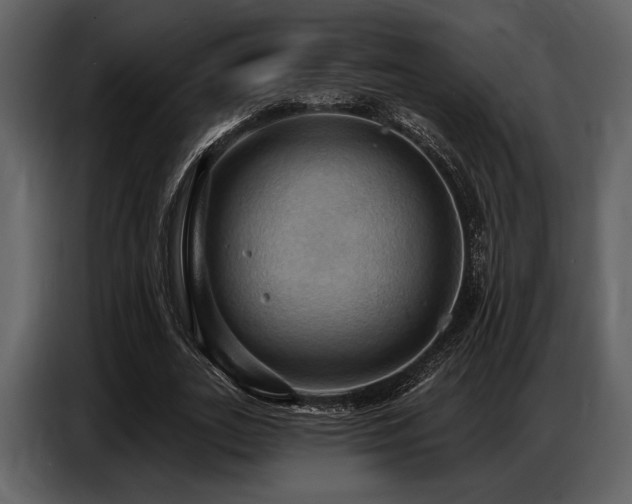X0000087740727200705071052