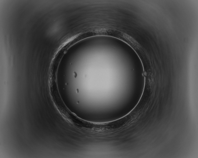 X0000087740728200705071052