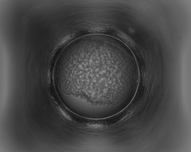 X0000087740729200705071052