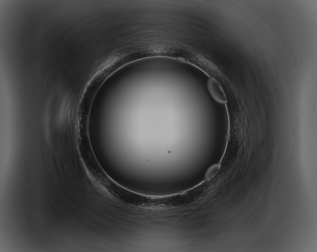 X0000087740730200705071052
