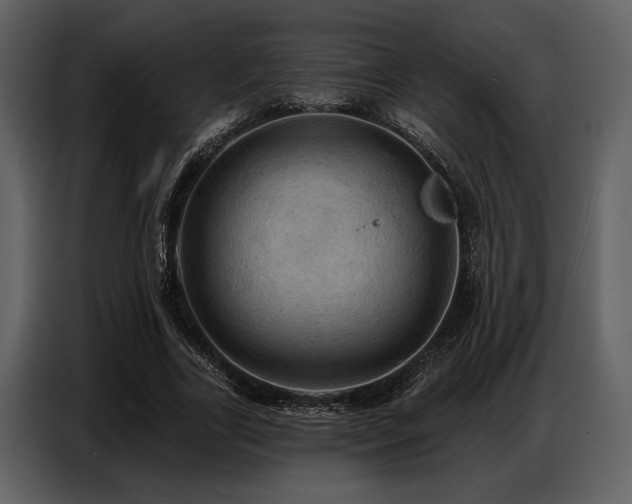 X0000087740731200705071052