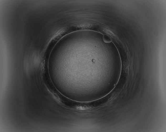 X0000087740735200705071052