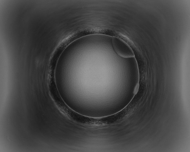 X0000087740736200705071052