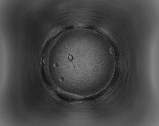 X0000087740738200705071052