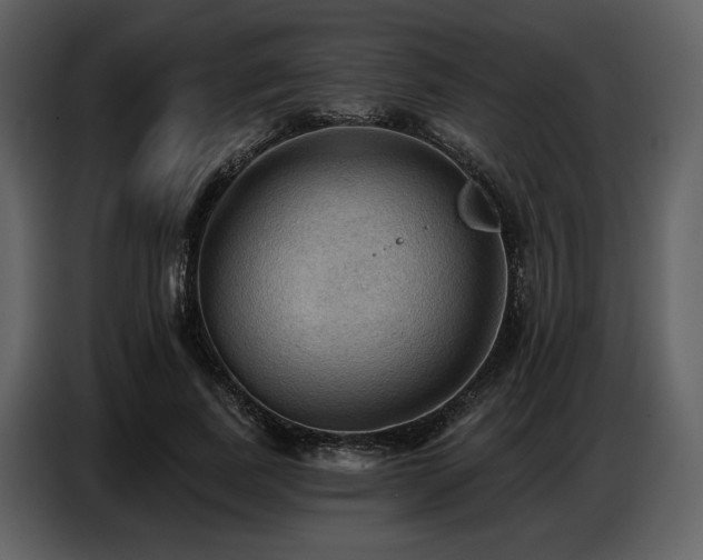 X0000087740739200705071052