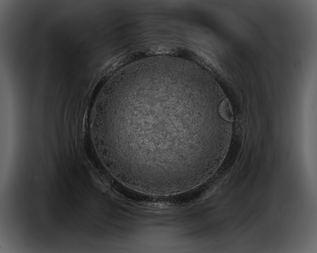 X0000087740741200705071052