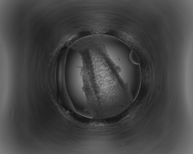 X0000087740742200705071052