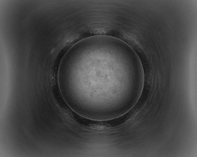 X0000087740743200705071052