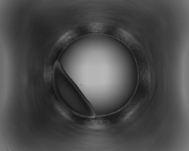 X0000087740744200705071052