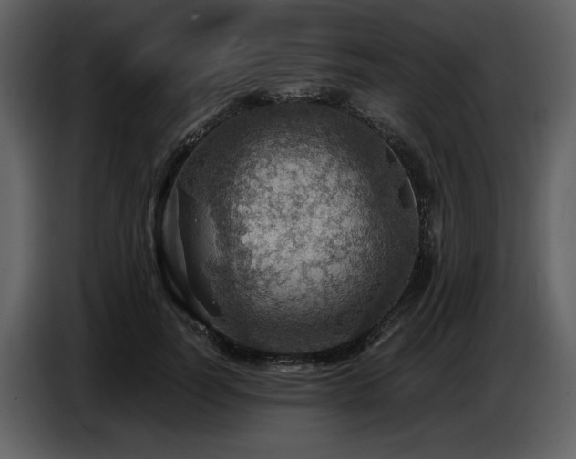 X0000087740746200705071052