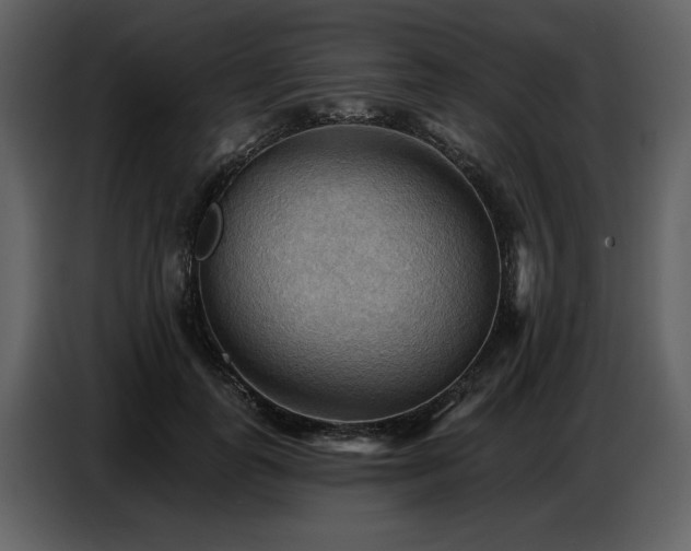 X0000087740747200705071052