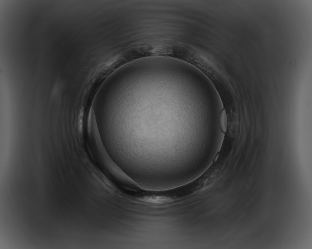 X0000087740748200705071052
