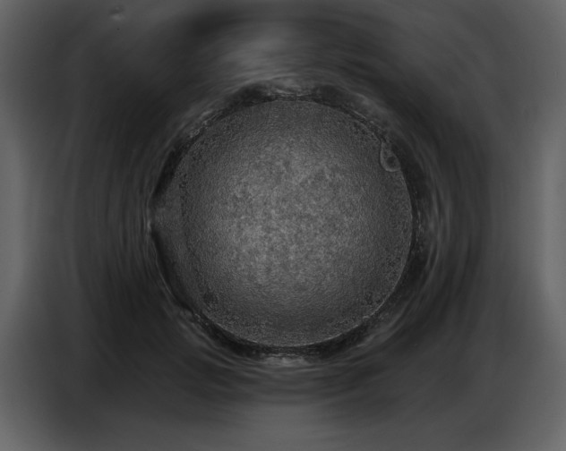 X0000087740749200705071052