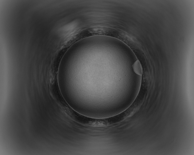 X0000087740751200705071052