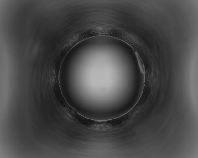 X0000087740752200705071052