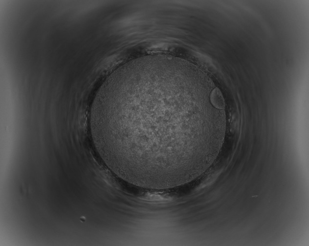 X0000087740753200705071052