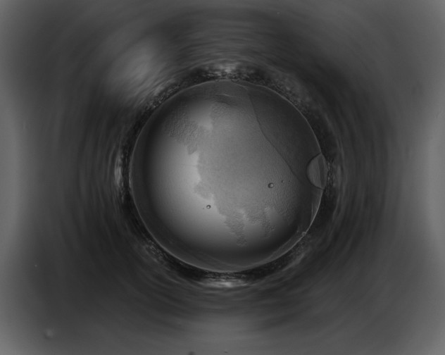 X0000087740754200705071052