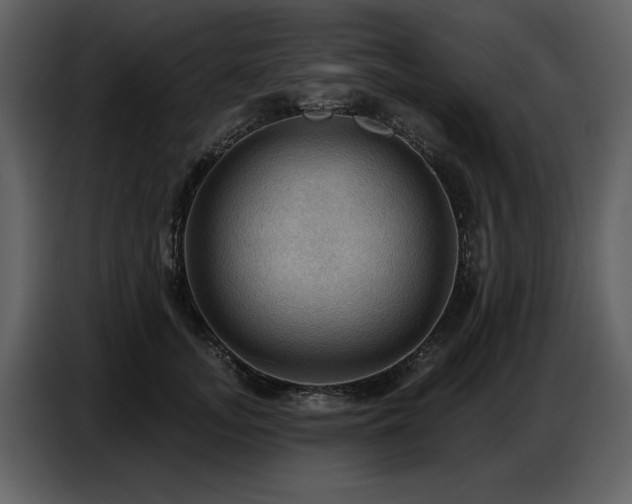 X0000087740755200705071052