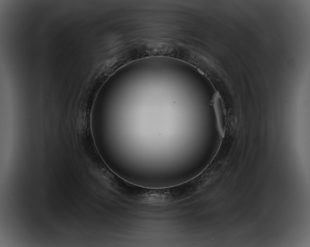 X0000087740756200705071052