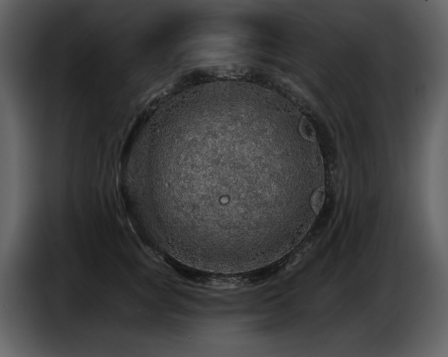 X0000087740757200705071052