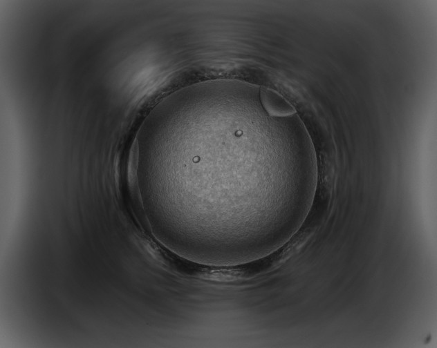 X0000087740758200705071052