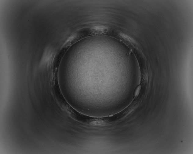 X0000087740759200705071052