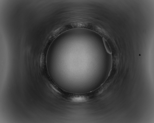 X0000087740760200705071052