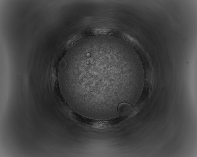 X0000087740761200705071052