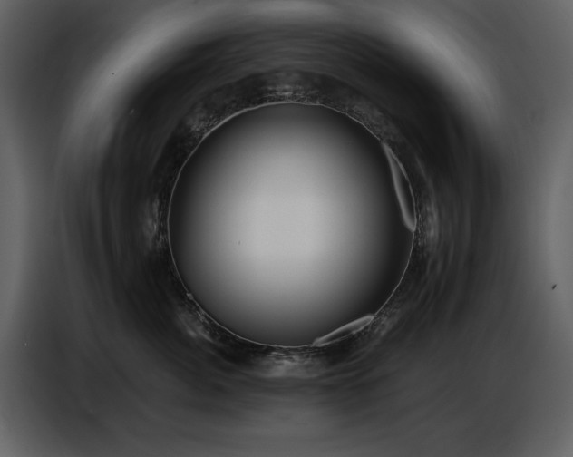 X0000087740764200705071052