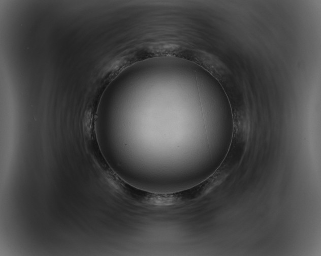 X0000087740767200705071052