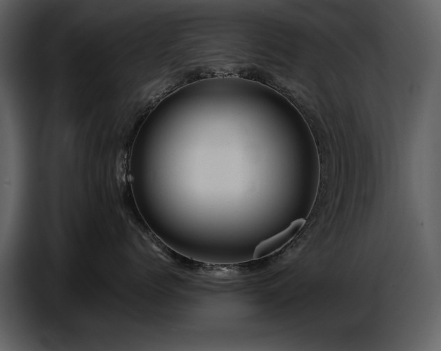 X0000087740768200705071052