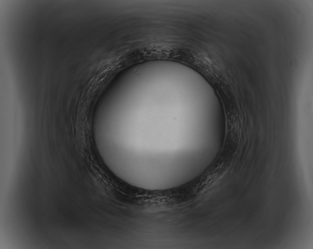 X0000087740769200705071052