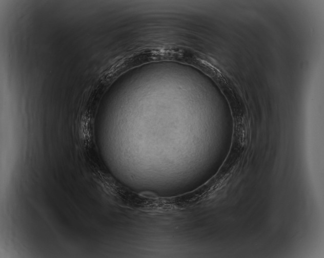 X0000087740770200705071052