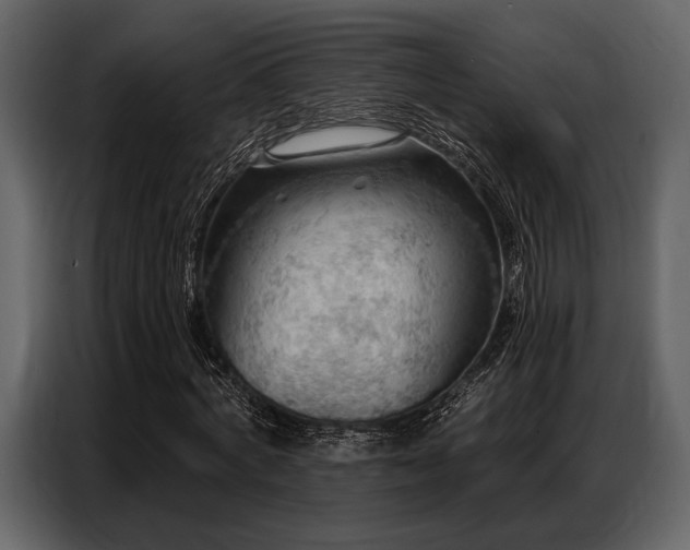 X0000087740772200705071052