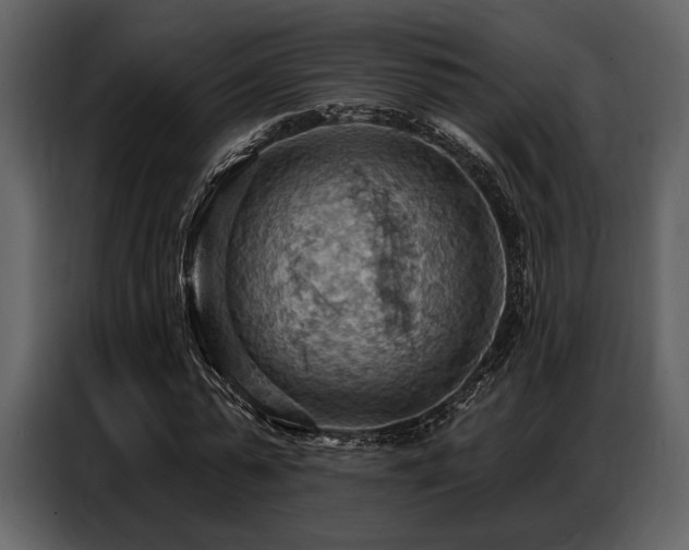 X0000087740775200705071052