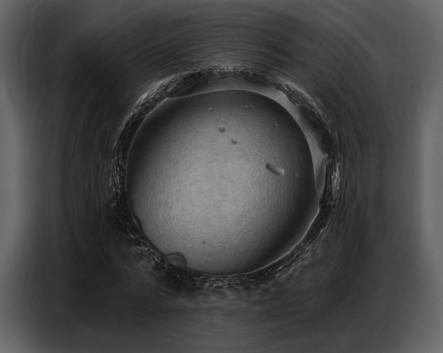 X0000087740776200705071052